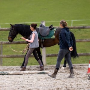 Onlinekurs-Basisausbildung (Light)