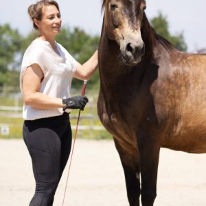 Trainings Begleitung
