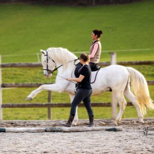 Onlinekurs-Basisausbildung (VIP)