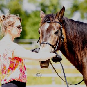 Ganzheitlicher Trainingsplan